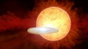 A ‘new’ star could finally appear in the night sky this week, thanks to a once-in-a-lifetime explosion
