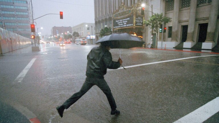 This could be the strongest El Niño on record » Yale Climate Connections
