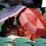 Players and fans left sweating at Wimbledon as SW19 faces sweltering 31C temperatures in latest heatwave