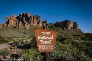 Arizona man arrested for living in garbage-filled campsite on grounds of national forest for nearly a decade
