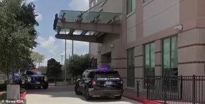 Mother, 40, is named after she murdered her son, 6, and daughter, 9, before taking her own life at Houston hotel