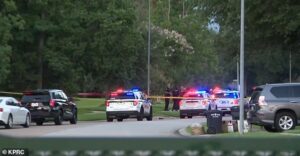 Boy, 2, and female relative, 74, BOTH drown while taking walk during family visit