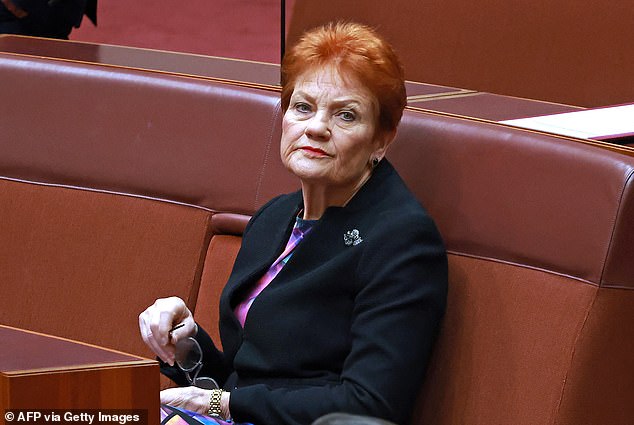 Fresh polling blow for Pauline Hanson as One Nation support slips again after her controversial speech