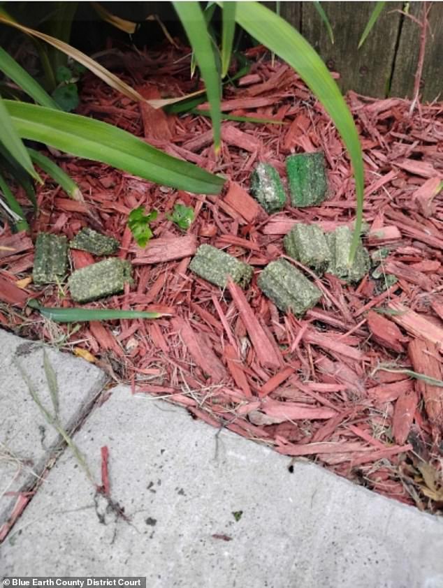 Minnesota AG names and shames couple who he says have lined their garden with RAT POISON to stop dogs urinating there