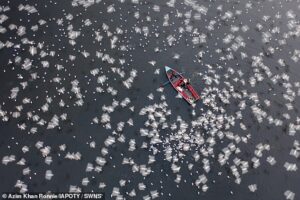 Top snaps from the Aerial Photographer of the Year Awards