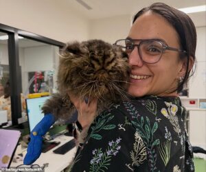 Vet’s warning every pet owner should read after cat miraculously survived four hours inside a tumble dryer