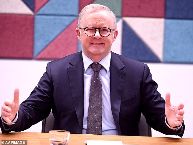 PETER VAN ONSELEN: There’s a reason Albanese sounded oh-so-sleazy: True goal of PM’s disastrous ‘bonking’ interview exposed