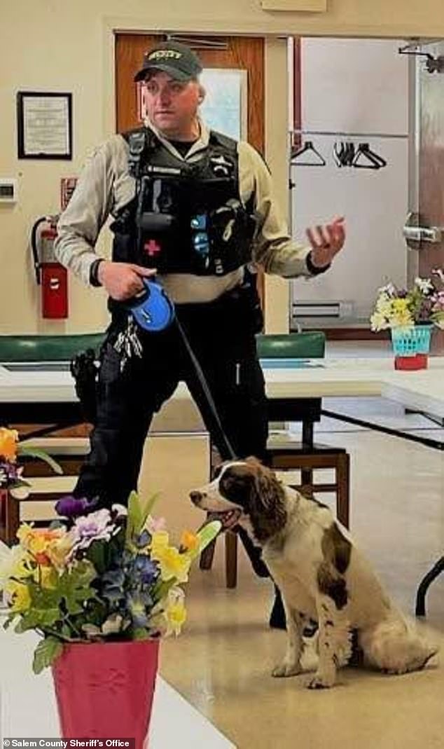 New Jersey cop in charge of K-9 unit left two dogs to die in hot police car, prosecutors say
