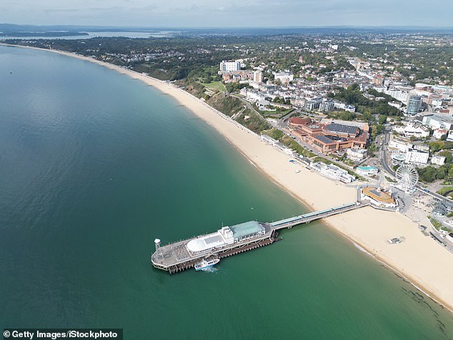 Welcome to Benefits Street on the beach: Plagued by drugs, violence and people having sex in public, inside Bournemouth’s downfall… and how NEIL SEARS was spat at, punched and abused when he went to investigate