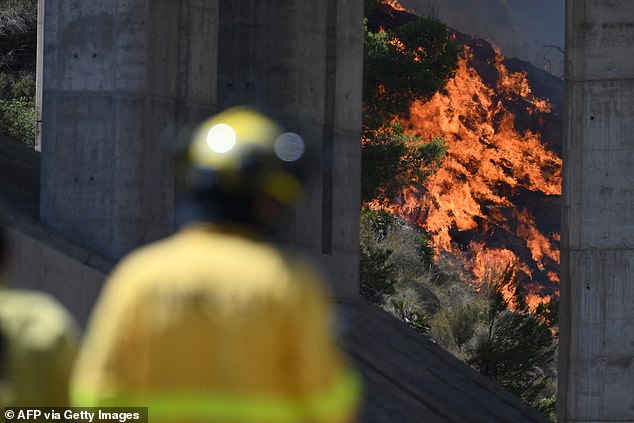 British man who perished in Spanish wildfires after going back to rescue cats made final heartbreaking call to wife as flames surrounded car – as authorities to identify at least 12 people