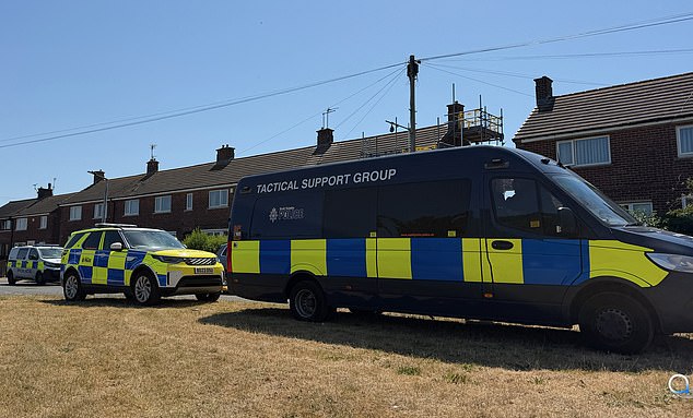 Police search home of man arrested in Rotherham over murder of Ann Widdecombe  – as neighbours say officers surrounded the property an hour before England’s World Cup quarter-final match