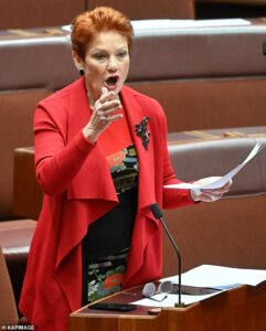 Support for Pauline Hanson plummets in shock new poll