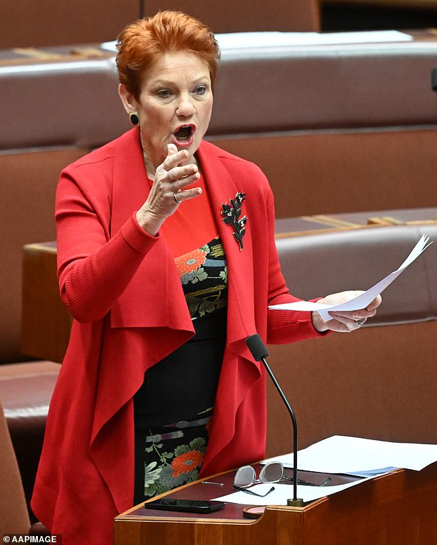 Support for Pauline Hanson plummets in shock new poll