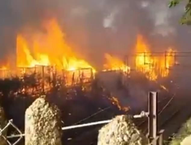Moment huge flames engulf London railway line as heatwave raises wildfires risk with firefighters tackling infernos across Britain