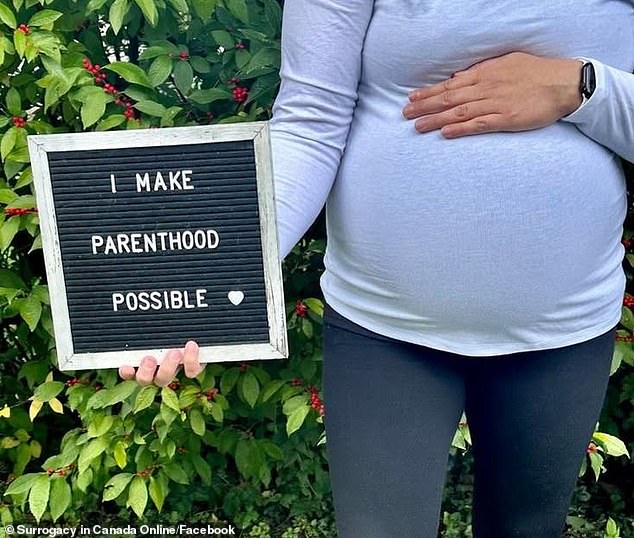 Ugly feud between couple and surrogate mother erupts as woman who carried their son is sued after refusing to abort the fetus