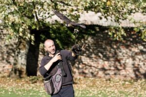 Railway museum axes its free family birds of prey display after vegan activists and animal right groups complained eagles and owls would be ‘forced to perform unnatural behaviour’