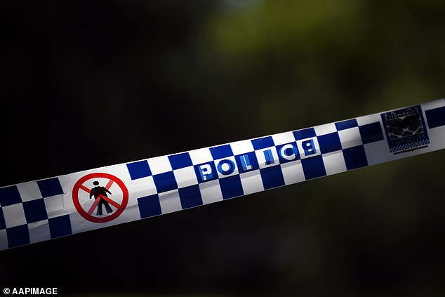 Man shot dead in car during Carlingford, Sydney, morning rush hour – as police hunt killer