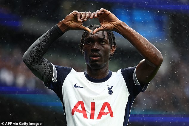 Former Tottenham star hoping to impress Fulham and Bournemouth close in on Benfica talent: WINDOW WATCH