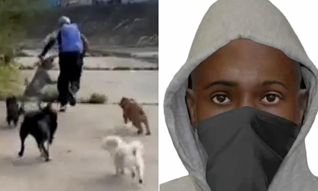 Pervert’s sickening demand after jumping from bushes and attacking women before six dogs came to the rescue in Melbourne
