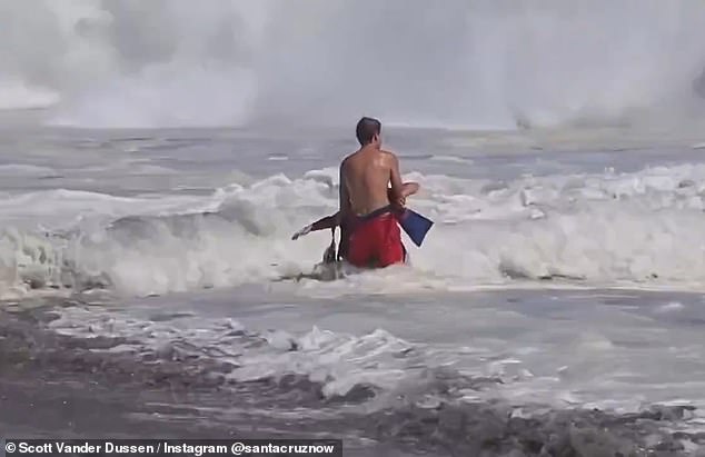 Incredible story of hero lifeguard aged just SIXTEEN filmed rescuing boy, 10, from ferocious California surf