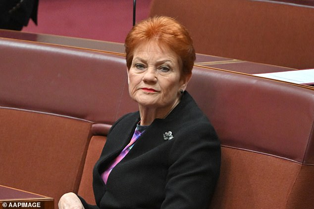 One Nation risks losing legal status as Pauline Hanson fails to turn over financial records