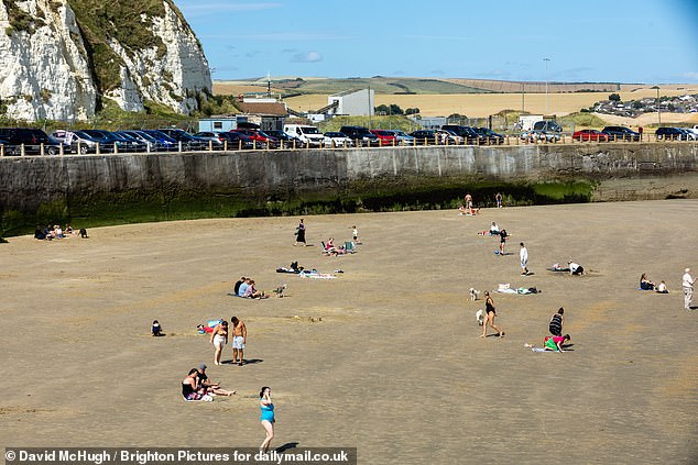 Fight over French-owned Sussex beach becomes gun battle as angry resident shoots £5,000 camera with air rifle