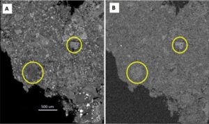NASA Study of Pristine Meteorite Adds to Story of Ancient Asteroids