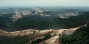 Indonesia’s New Capital Is Changing the Borneo Rainforest Forever. Science is Listening to the Change