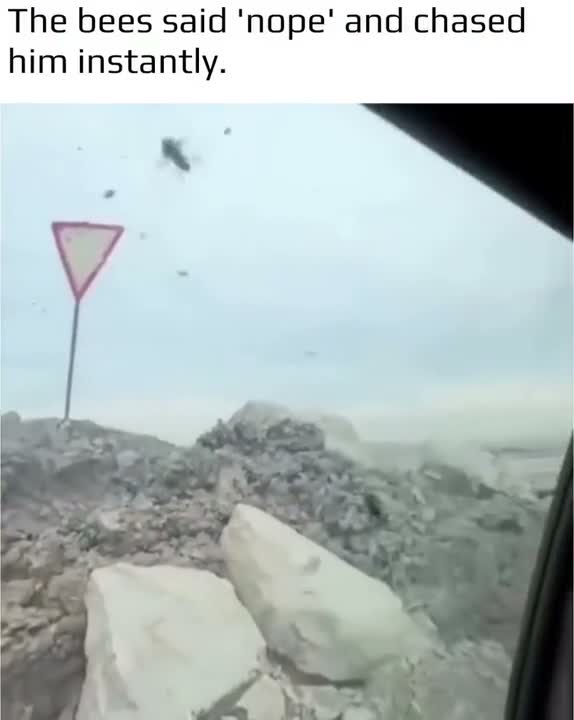 THERE HE IS! FUCKIN RUSH HIM!!