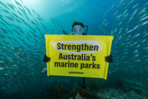 ‘Ride the wave of momentum’: Australia announces once-in-a-decade Marine Parks Network review