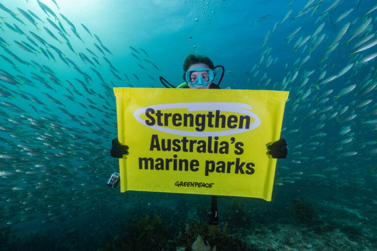 ‘Ride the wave of momentum’: Australia announces once-in-a-decade Marine Parks Network review