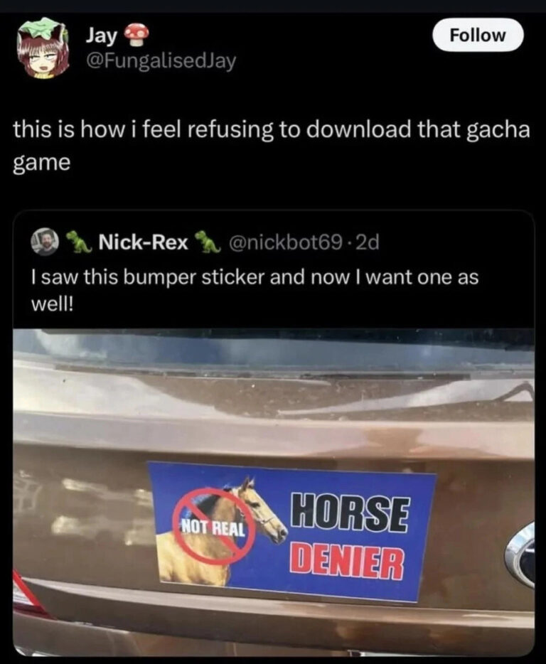 Bro really chose chaos.