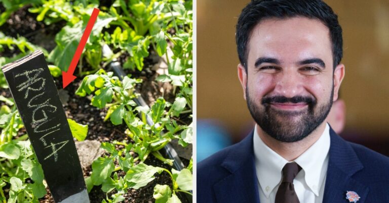 32 Unqualified People (And Objects) That People Legitimately Want For President Right Now