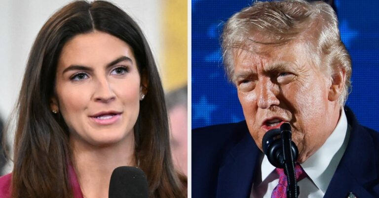 CNN's Kaitlan Collins Says Trump Was "Enraged" By State Fair Photos To The Point That "Officials Ended Up Deleting Them"