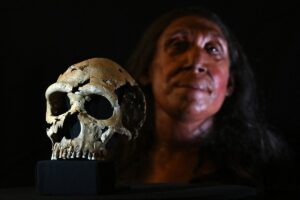 Did our modern human ancestors and Neanderthals share a common culture?