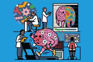 How healthy is your brain? We now know how to find out