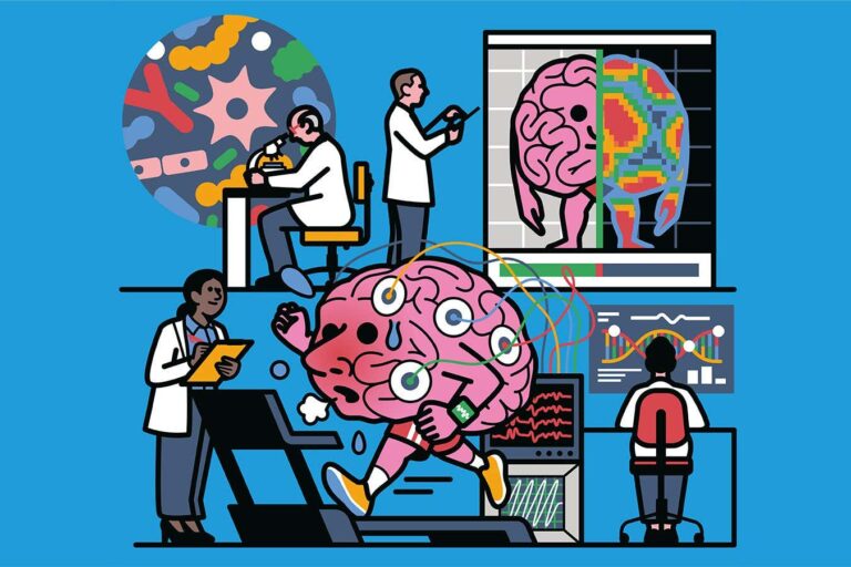 How healthy is your brain? We now know how to find out