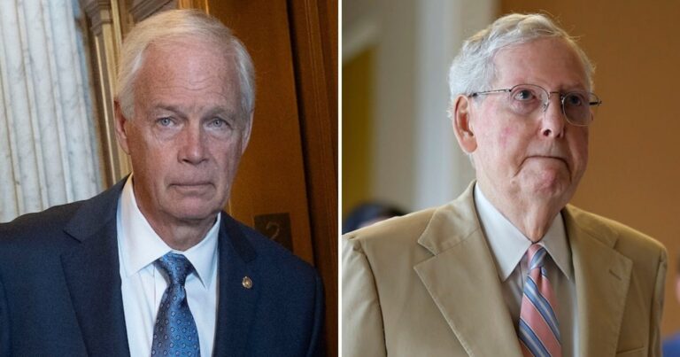 Sen. Ron Johnson Makes Shock Claim About Mitch McConnell