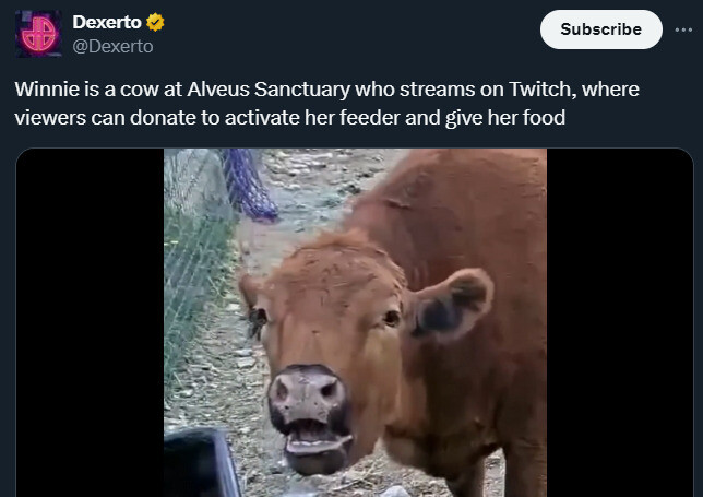 So easy, an animal could do it