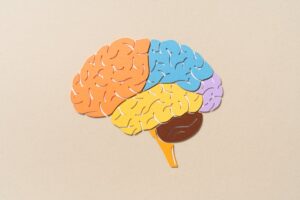 Experimental immune therapy shows promise against deadly childhood brain cancer