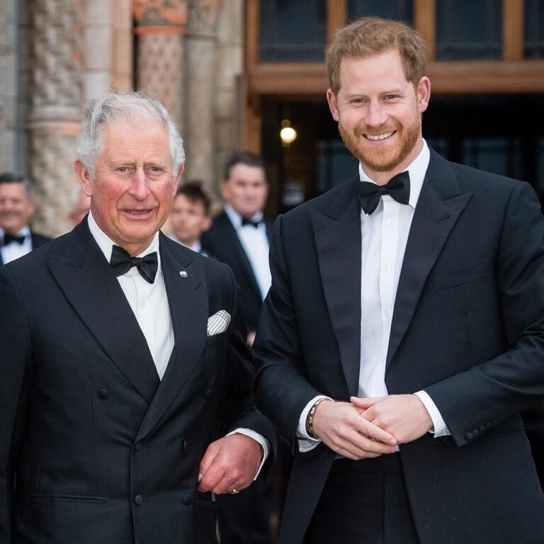 Prince Harry, Meghan Markle’s Kids Reunite With King Charles