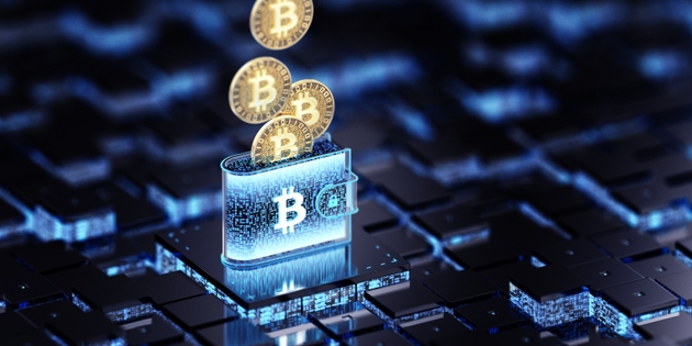 Warren: Senate crypto legislation must prevent ‘Trump from profiting’ (BTC-USD:Cryptocurrency)