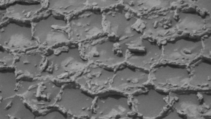 Honeycomb structures spotted on Mars photo of the day for July 14, 2026