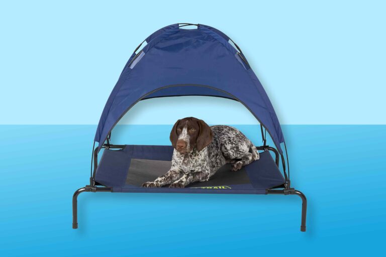 Pets Love These 10 Cooling Indoor-Outdoor Dog Beds That Are Good for ‘Joint Pain and Back Pain’ — from $8