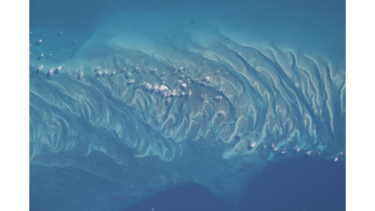 Take a trip to the turquoise waters of the Bahamas (from space) photo of the day for July 9, 2026