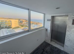 British father charged with letting his toddler fall to his death from hotel window cries as he is allowed to return to UK for the boy’s funeral