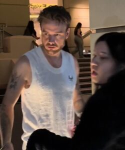 Liam Payne’s chaotic last hours, by the call girls he hired for hotel sex and drugs binge: We reveal the astonishing, sworn witness statements of two prostitutes who joined One Direction star in hours before he plunged to his death