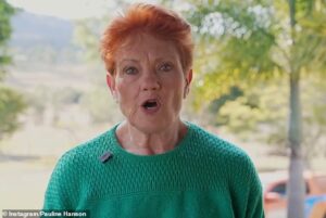 Pauline Hanson demands Australia strengthen its borders now or risk migrant chaos after 50,000 ‘illegals’ barged into Spain: ‘Be prepared’