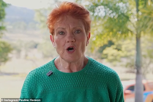 Pauline Hanson demands Australia strengthen its borders now or risk migrant chaos after 50,000 ‘illegals’ barged into Spain: ‘Be prepared’