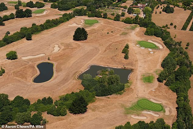 Weeks without rain and hosepipe bans turn Britain’s most exclusive golf courses from lush green to scorched brown as temperatures to hit 35C again